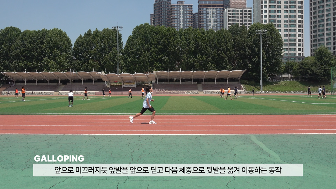 기본움직임 & 체력