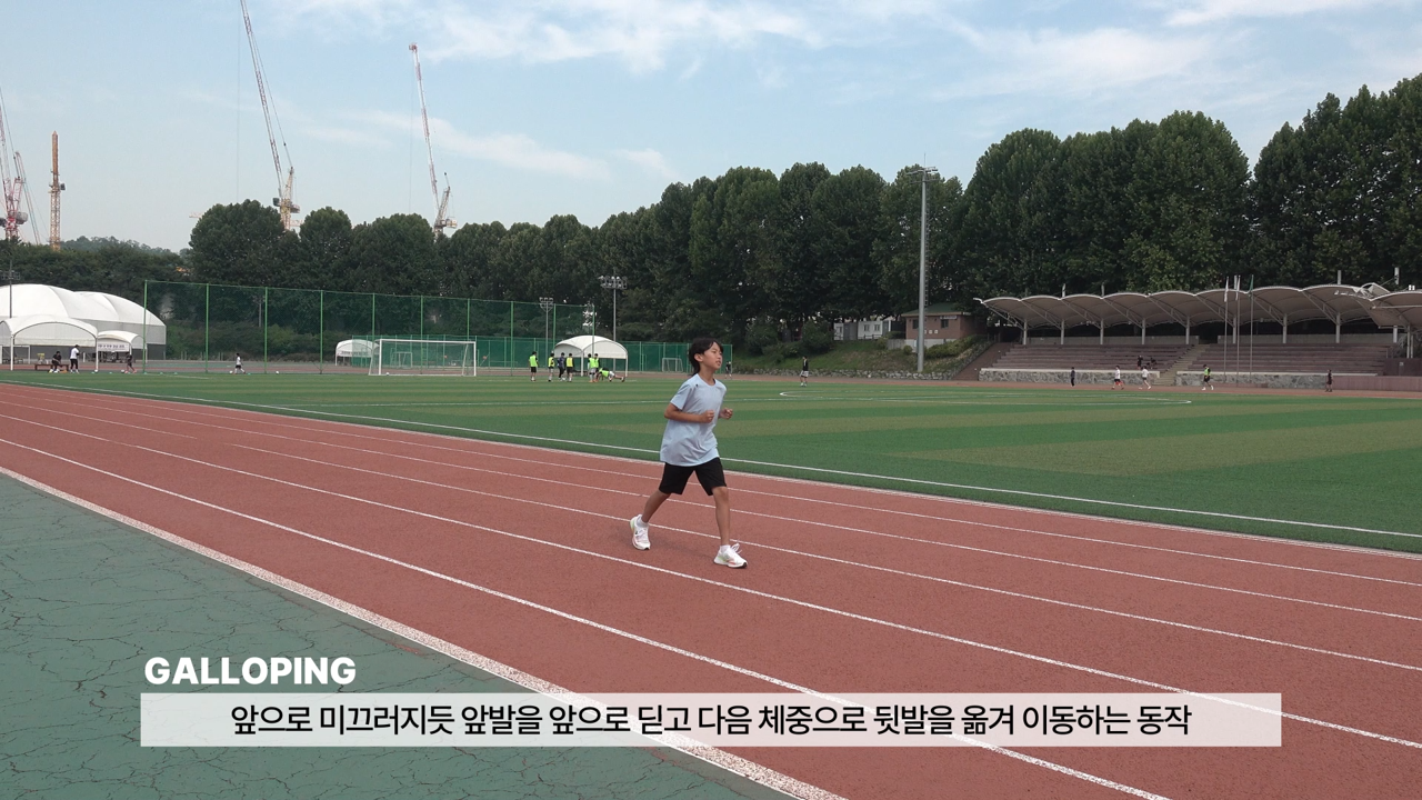 기본움직임 & 체력